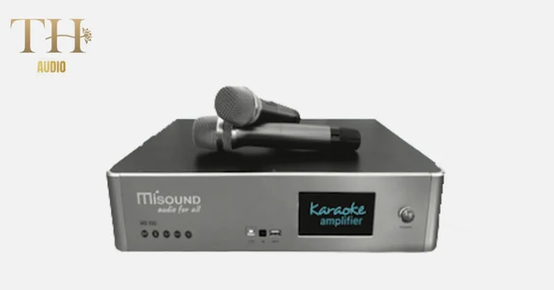 amply karaoke gia đình