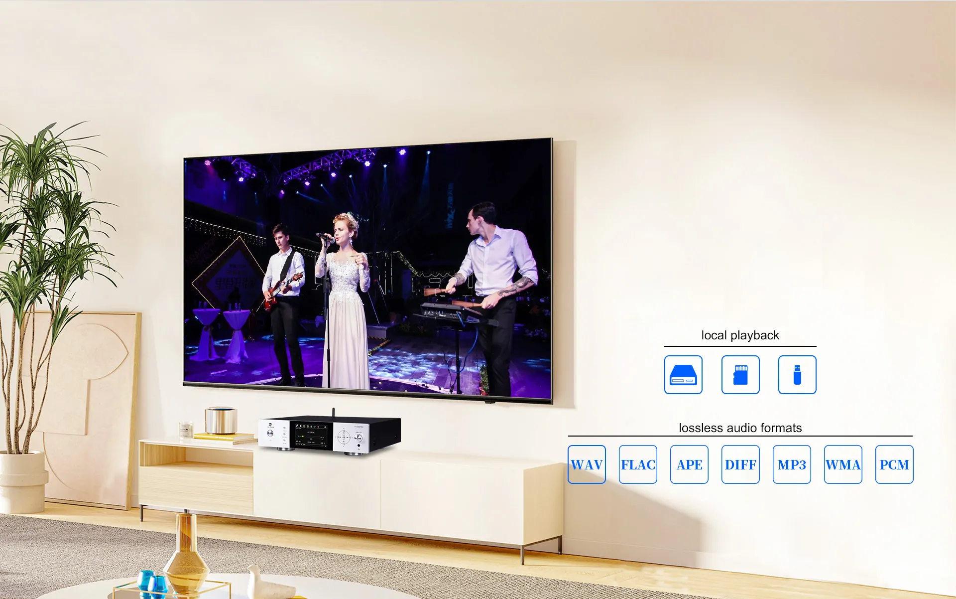 Đầu phát nhạc ToneWinner TY-I30PRO