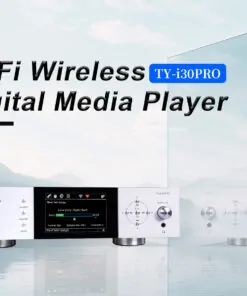 Đầu phát nhạc ToneWinner TY-I30PRO