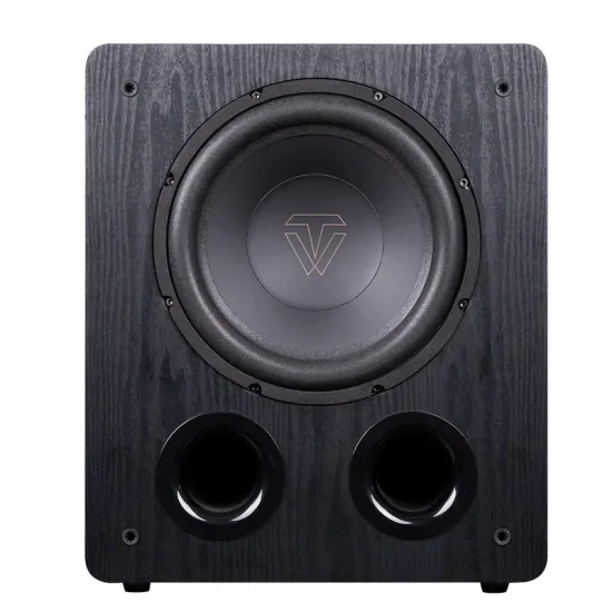 Tonewinner 10-inch bass wood 200W subwoofer