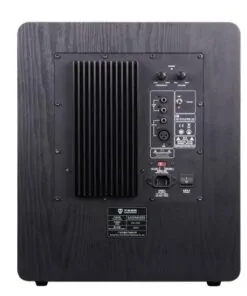 Tonewinner 10-inch bass wood 200W subwoofer