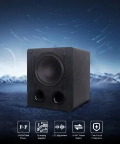 Tonewinner 10-inch bass wood 200W subwoofer