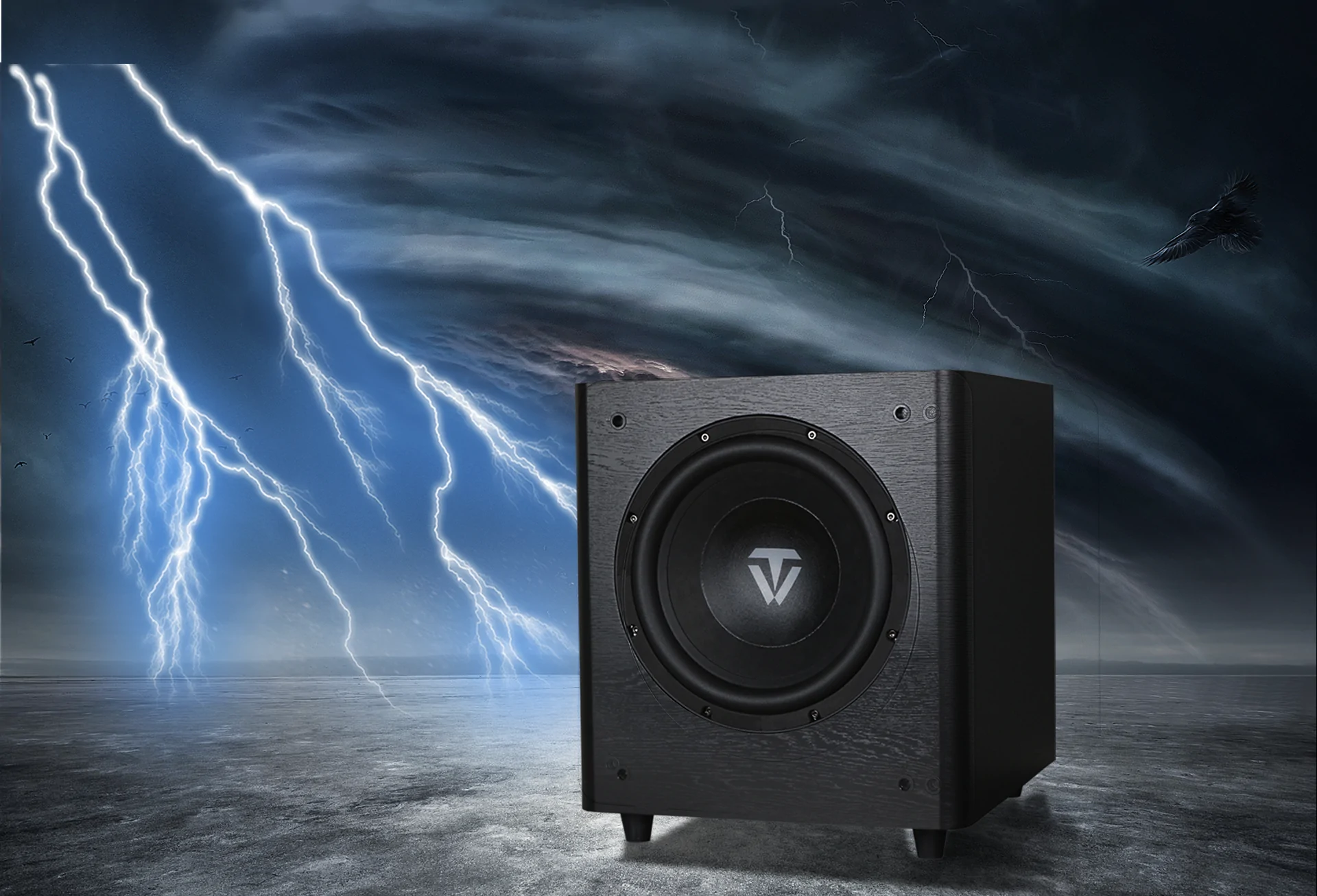 Loa sub điện ToneWinner 12 inch màu đen