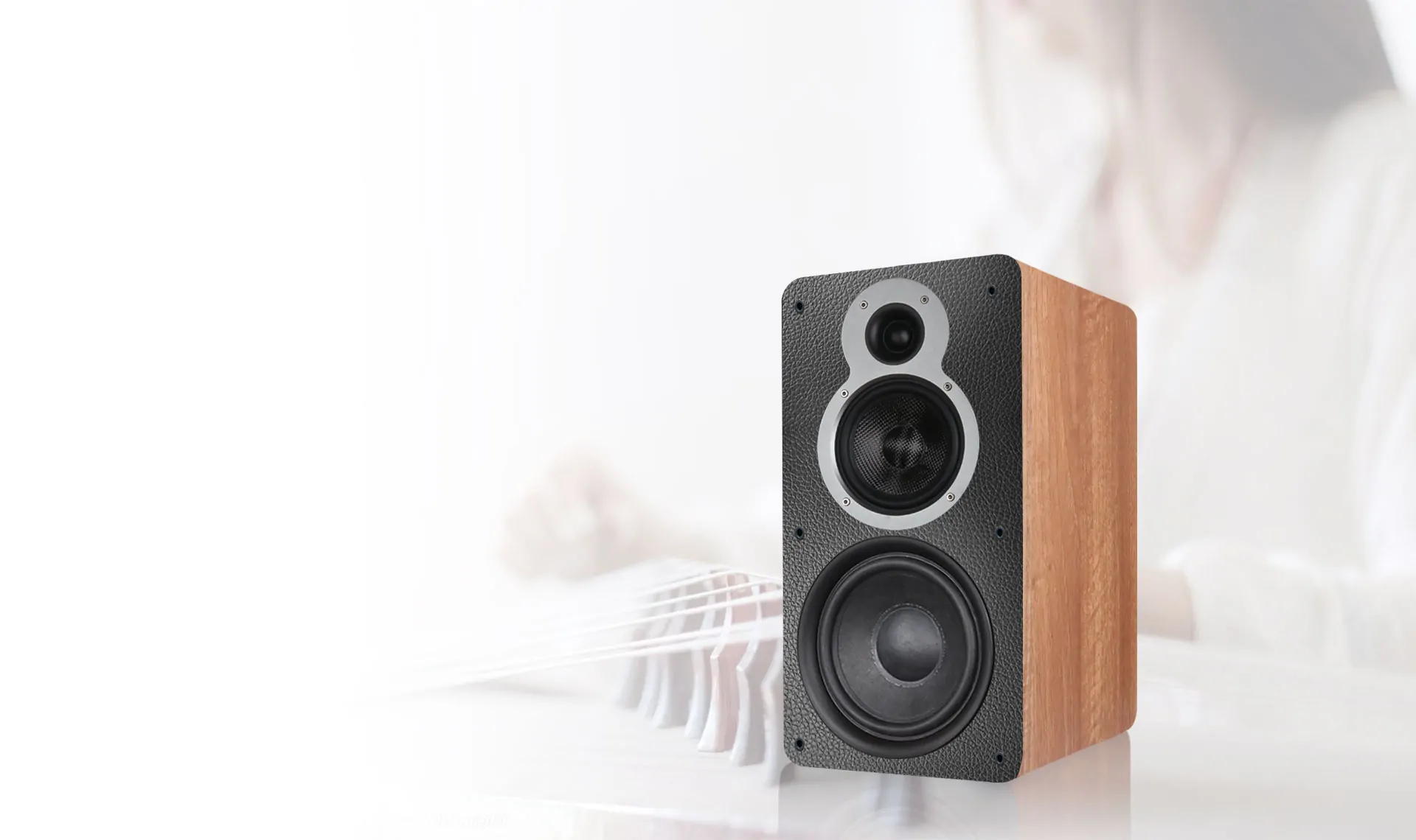 Tonewinner 440W Hi-Fi bookshelf speakers in