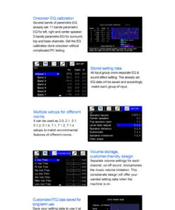 Tonewinner 7.1.4 decoding AV pre amplifier