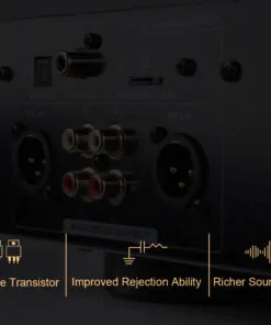 Tonewinner cheap personal technics Hi-Fi music cd player
