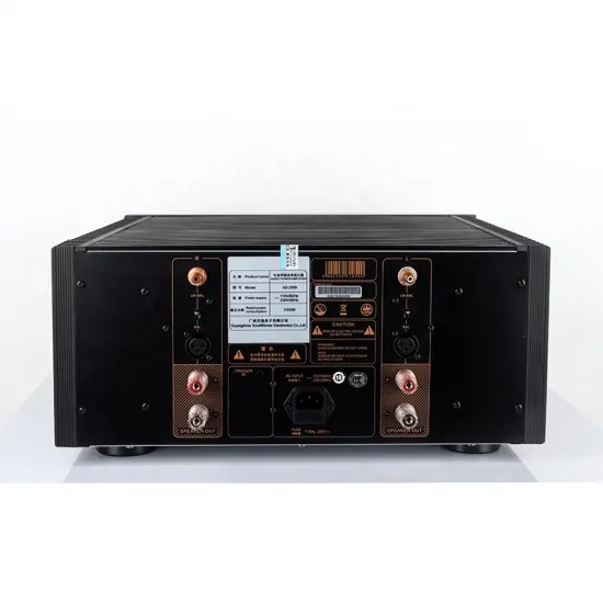 Tonewinner custom 2.0 1000W mono powerful home movie amplifier