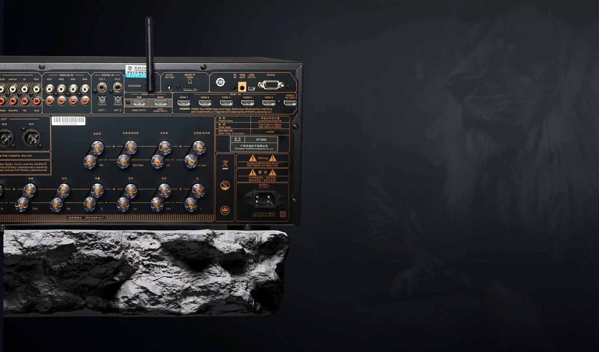 Tonewinner Dolby Atmos 13 ch decoding AV receiver
