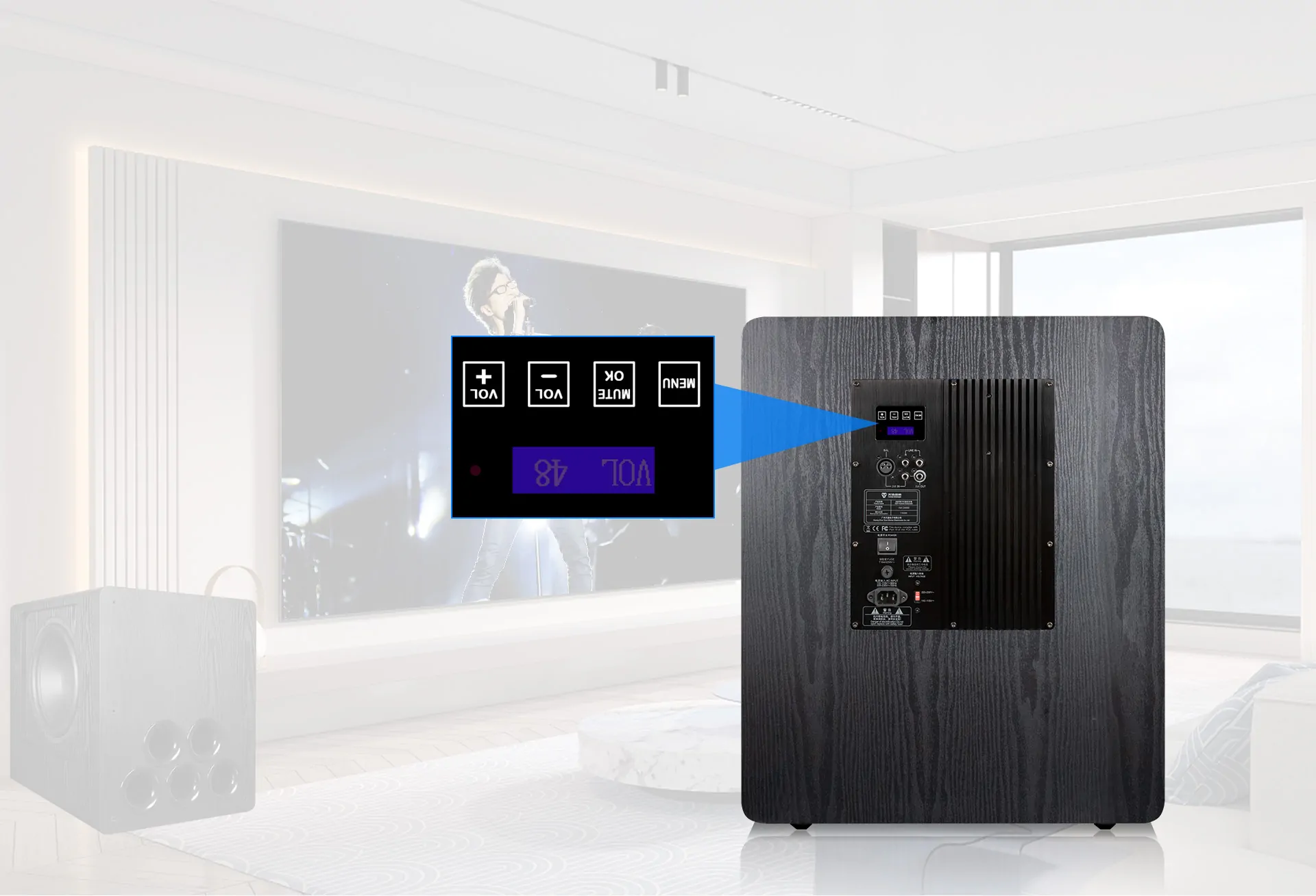 ToneWinner dual 15 inch DSP powered subwoofer