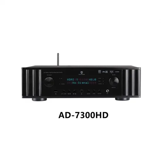 Tonewinner home audio video decoder pre amplifier