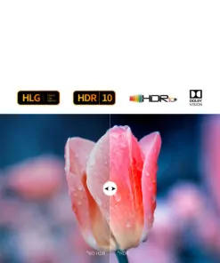 Tonewinner home audio video decoder pre amplifier