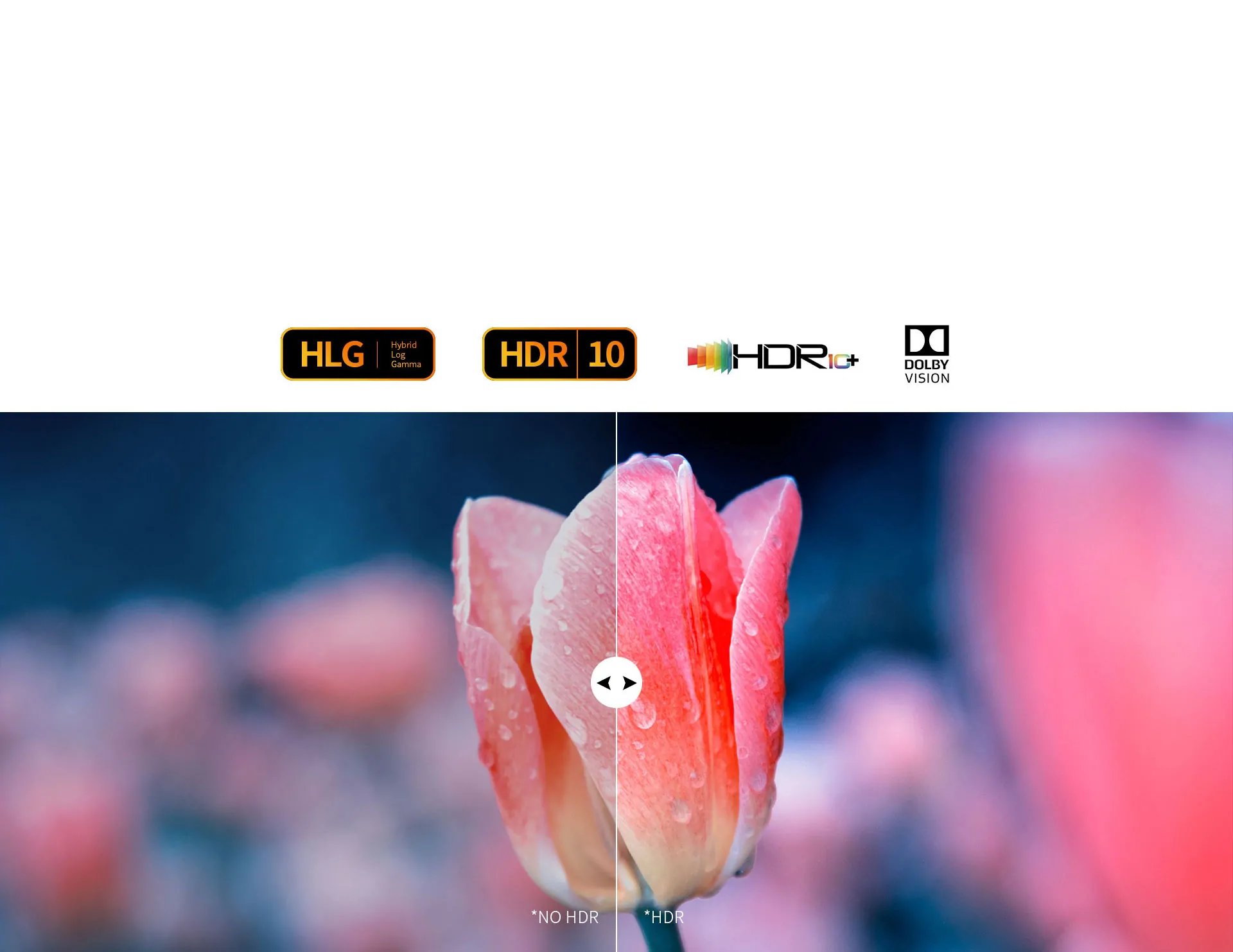 Tonewinner home audio video decoder pre amplifier