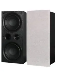 Tonewinner hot sale in wall/ ceiling speakers