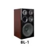 Tonewinner karaoke bookshelf home theater speakers