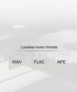 Tonewinner new arrival high speed Hi-Fi circuit stereo amplifier