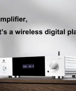 Tonewinner new arrival high speed Hi-Fi circuit stereo amplifier