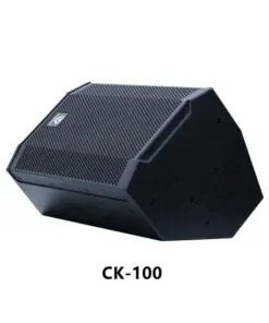 Tonewinner pa system professional karaoke stage speakers