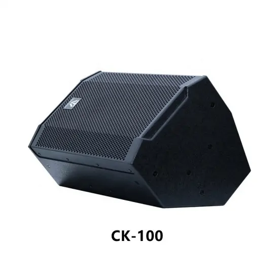 Tonewinner pa system professional karaoke stage speakers