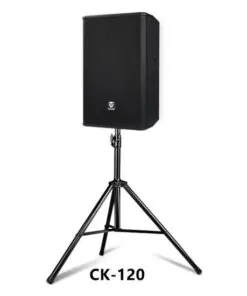 Tonewinner pa system professional karaoke stage speakers