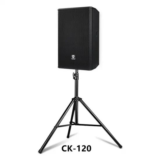 Tonewinner pa system professional karaoke stage speakers