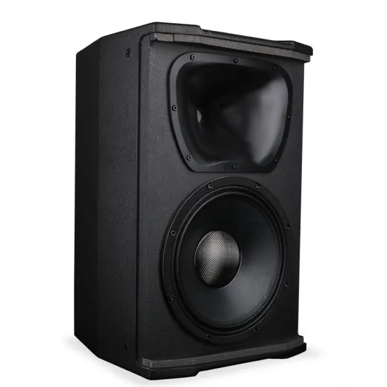 Tonewinner pa system professional karaoke stage speakers