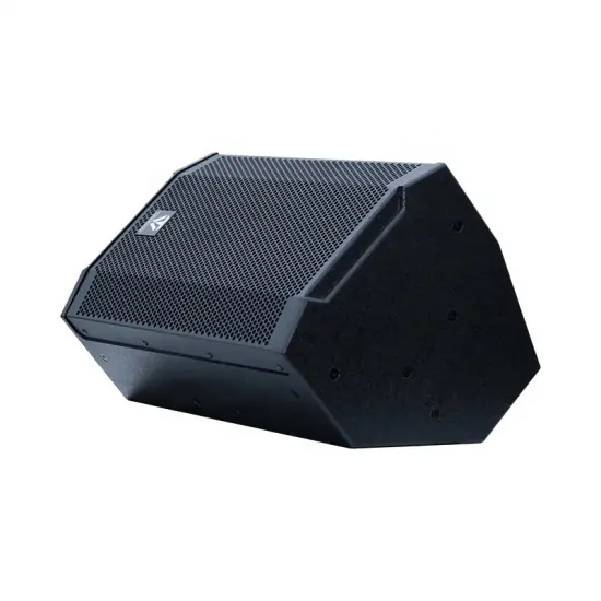 Tonewinner pa system professional karaoke stage speakers