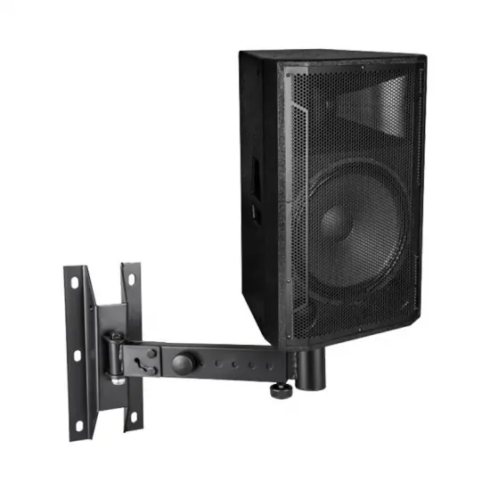 Tonewinner pa system professional karaoke stage speakers