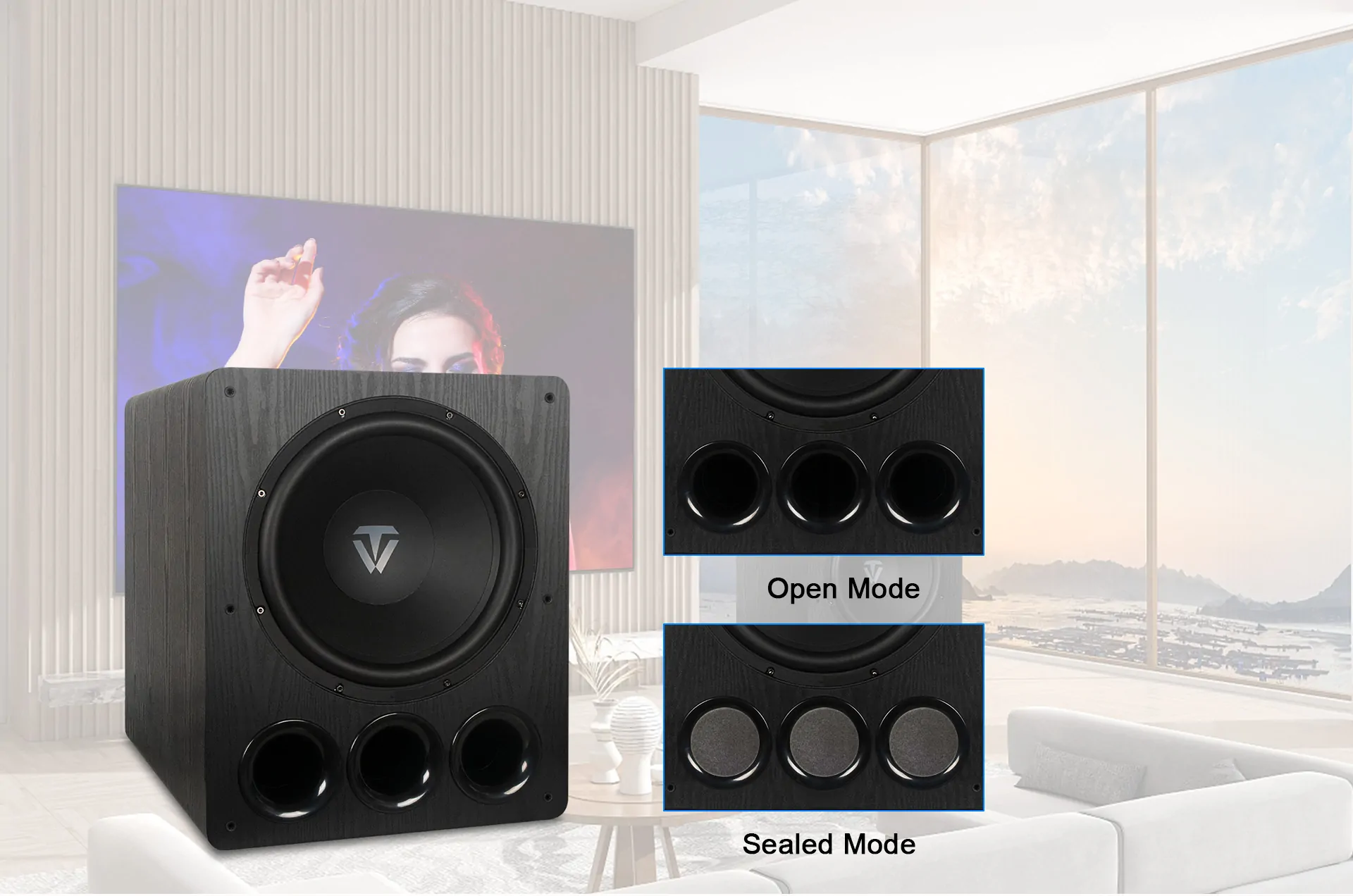 Tonewinner Powered woofer 800W New Design Subwoofer