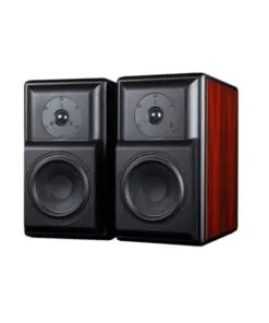 Tonewinner rear bass reflex design Hi-Fi bookshelf speakers