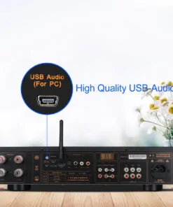 Tonewinner sale 2ch Hi-Fi stereo audio amplifier