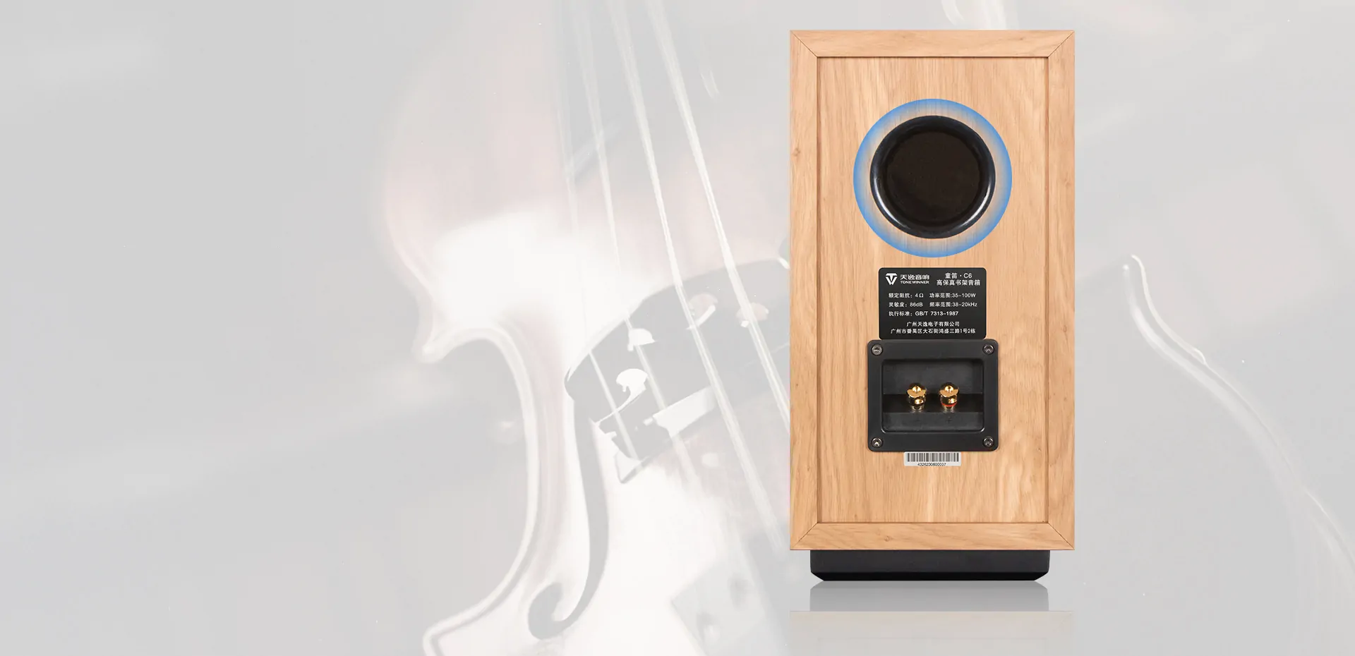 Tonewinner TD-C6 Hi-Fi bookshelf speaker