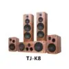 Tonewinner wooden 5ch AV Hi-Fi floor standing speakers